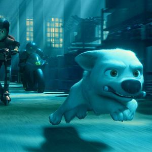 Foto Bolt: Un perro fuera de serie