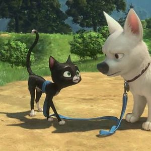 Foto Bolt: Un perro fuera de serie