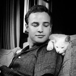 Foto Conversando con Marlon Brando