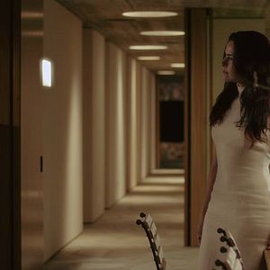 Foto The Moving Forest