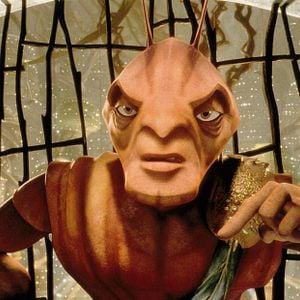 Foto Antz: Hormiguitaz