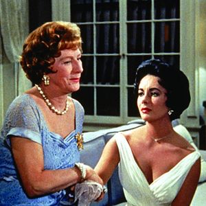 Foto La gata sobre el tejado de zinc