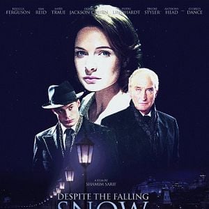 Foto Cuando cae la nieve