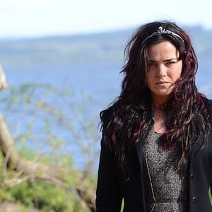 Foto The Moving Forest