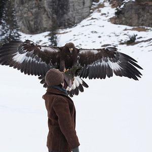 Foto Hermanos del viento