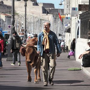 Foto No se metan con mi vaca