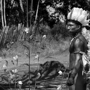 Foto El abrazo de la serpiente