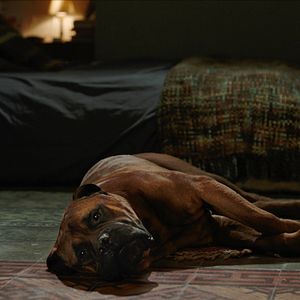 Foto Una sonrisa a la vida