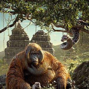 Foto El libro de la selva