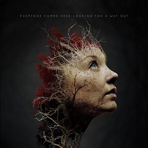 Foto El bosque siniestro