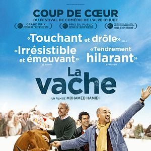 Foto No se metan con mi vaca