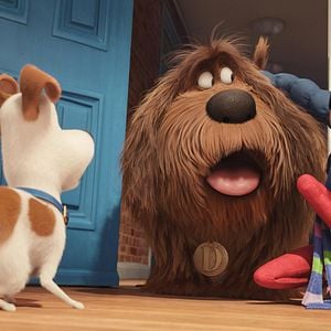 Foto La vida secreta de tus mascotas