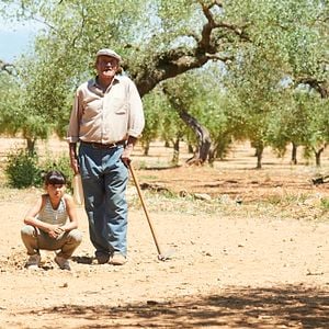 Foto El árbol del abuelo