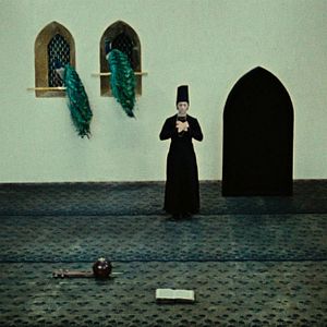 Foto The Color of Pomegranates