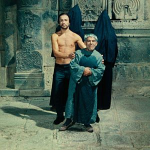 Foto The Color of Pomegranates