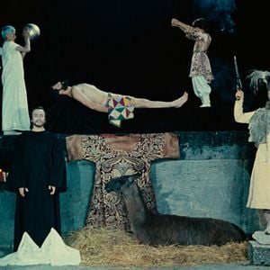 Foto The Color of Pomegranates