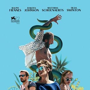 Foto Cegados por el sol