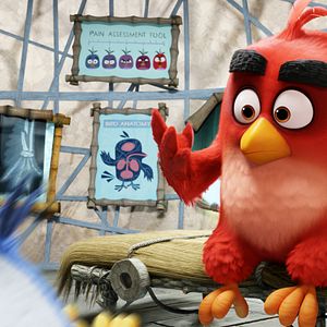 Foto Angry Birds: La película