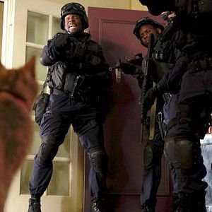 Foto Brooklyn, Precinto 99