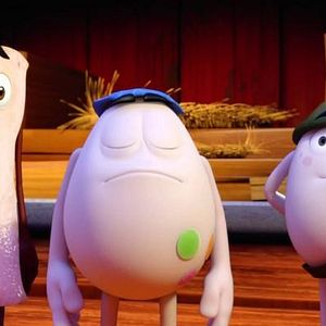 Foto Un gallo con muchos huevos