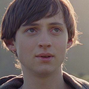 Foto Sparrows (Gorriones)