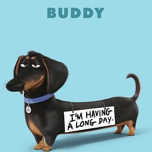 Foto La vida secreta de tus mascotas