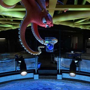 Foto Buscando a Dory