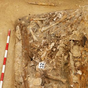 Foto Cervantes, la búsqueda