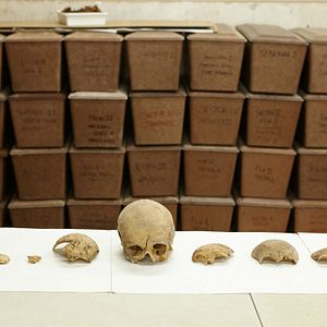 Foto Cervantes, la búsqueda