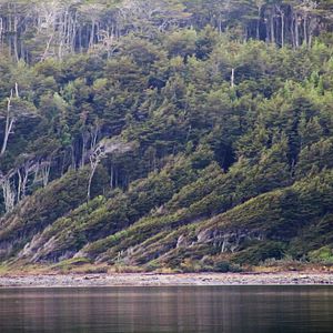 Foto El Botón de Nácar