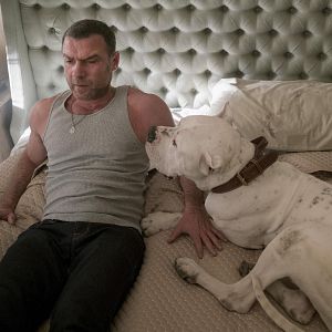 Foto Ray Donovan