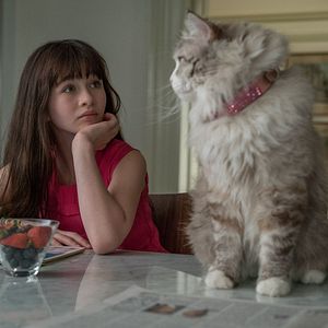 Foto Mi papá es un gato