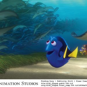 Foto Buscando a Dory