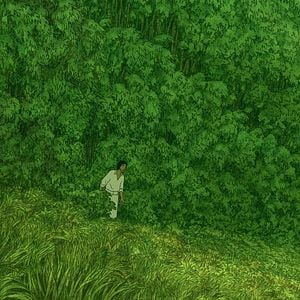 Foto La tortuga roja