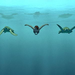 Foto La tortuga roja