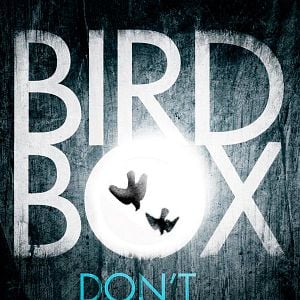 Foto Bird Box: A ciegas