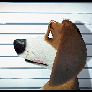 Foto Ozzy: Rápido y peludo