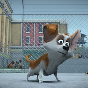 Ozzy: Rápido y peludo - Película 2016.mx
