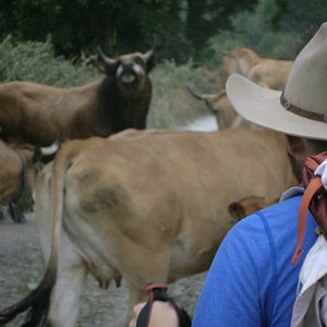 Foto Footprints: El camino de tu vida