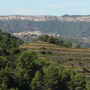 Foto Priorat