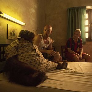 Foto Franck Gastambide