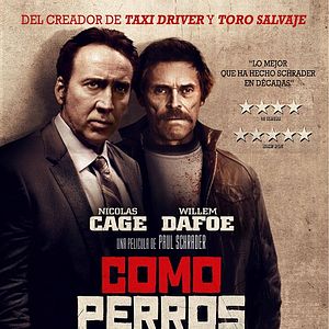 Foto Como perros salvajes