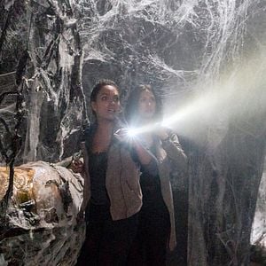 Foto Janina Gavankar