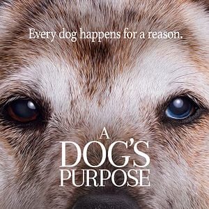 Foto La razón de estar contigo