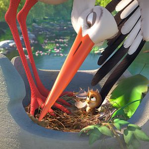 Foto Una cigüeña en apuros