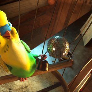 Foto Una cigüeña en apuros