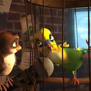 Foto Una cigüeña en apuros