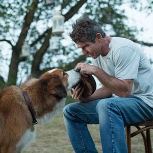 Foto La razón de estar contigo