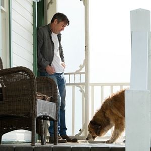 Foto La razón de estar contigo