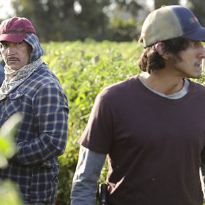 Foto Benito Martinez